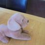 Cuddly Guide Dog Puppy for Sale Image 4