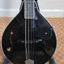 mandolin Image 4