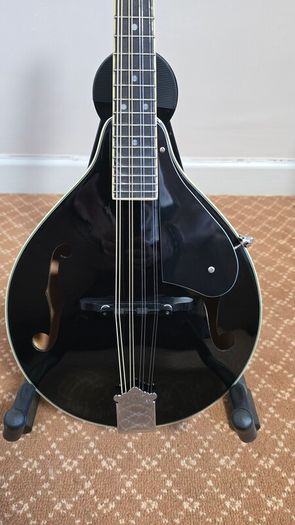 mandolin