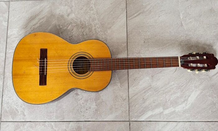 Guitar