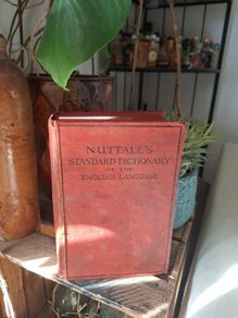 Vintage Dictionary