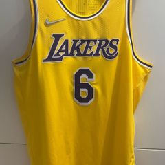 Nike Authentic Dri-FIT ADV 75th Anniversary LeBron James Lakers Jersey