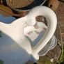 Staffordshire jug and basin Image 9