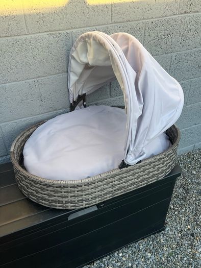 dog bed