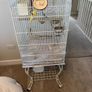 Bird cage for sale Image 3