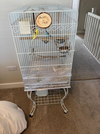 Bird cage for sale