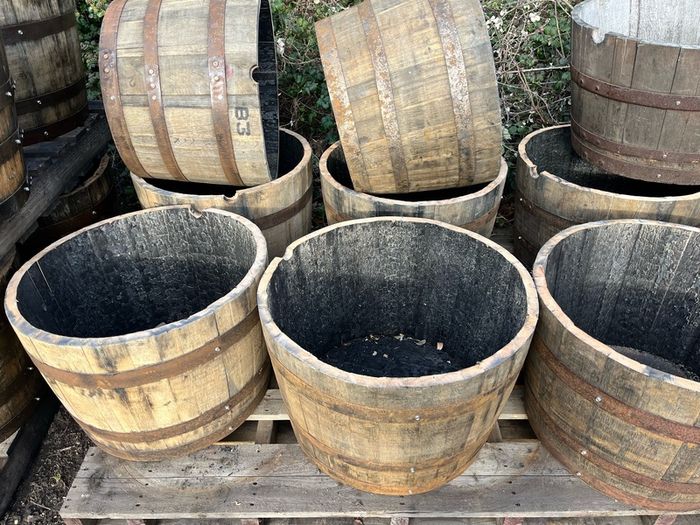 oak barrel planters