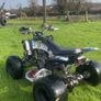 Raptor 250cc Image 3