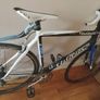 Wilier Triestina Mortirolo Image 4
