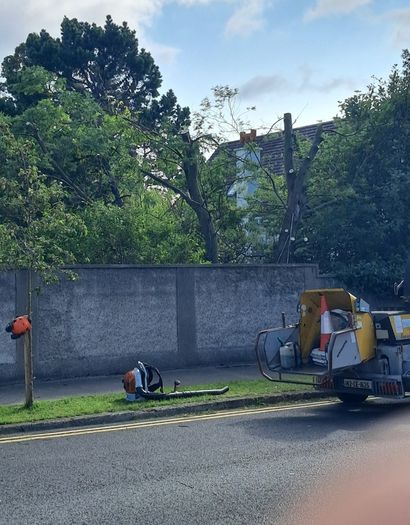 Landscaping