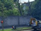 Landscaping Image 5