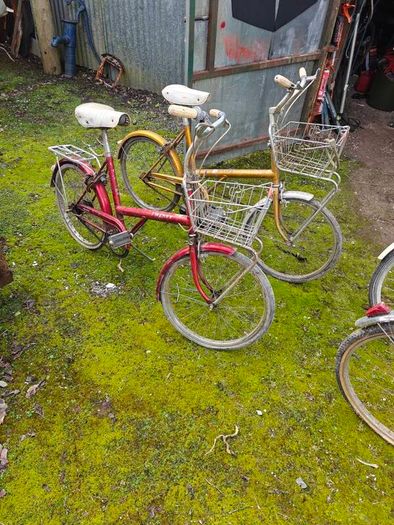 vintage and old bikes