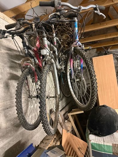 bikes