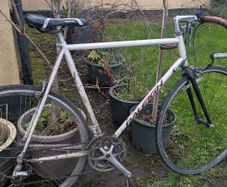 Raleigh racer large 4130 chromo