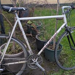 Raleigh racer large 4130 chromo