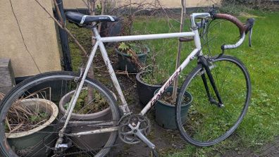 Raleigh racer large 4130 chromo