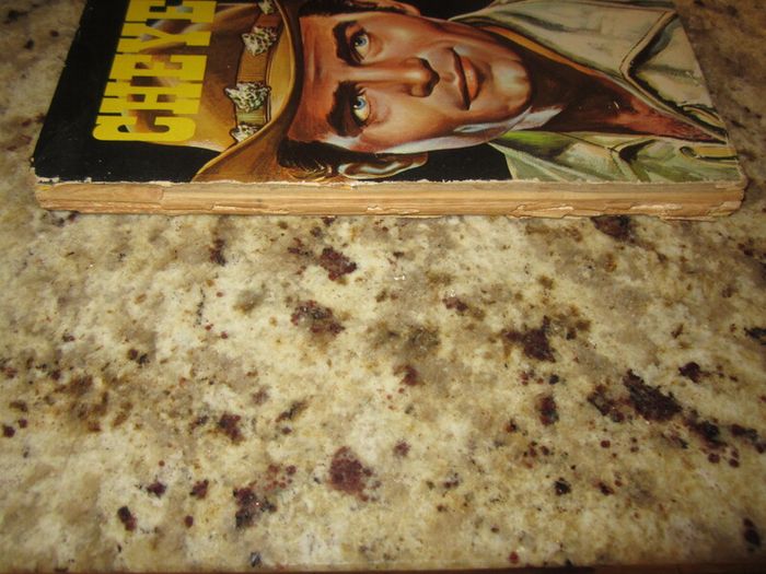 Vintage  Cheyenne annual   1960