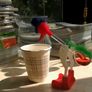 Perpetual Motion Duck Image 2