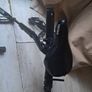 Kids Bike Seat Kids Ride Shotgun PRO Image 2