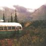 Eddie Vedder - Into The Wild Reissue Vinyl LP Image 6