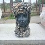 flowers pots Image 5