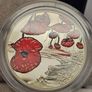 Alderney 2015 Silver Proof 5 Pounds Coin We Who Remain Remembrance Day in Original Holder with COA Image 2