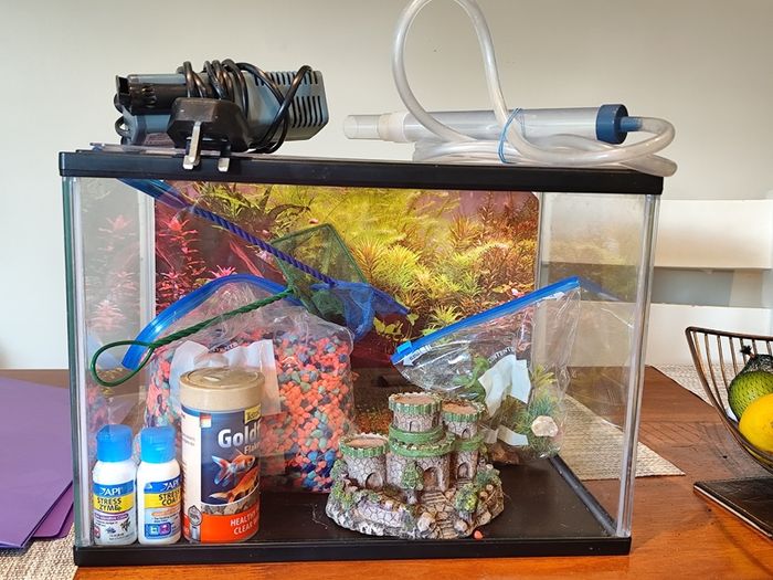Fish tank