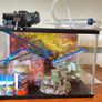 Fish tank Image 2