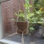 macrame hanging planter Image 2