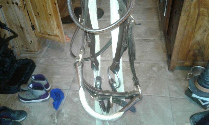 Bridle /bitless