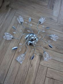 Ornate Ceiling light