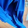 dress  coast size 16 lace lined  loops for belt if wanted Image 8