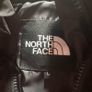 The north face 700 puffer jacket Image 4