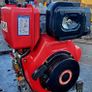 pacini diesel engine Image 9