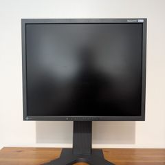 Monitor Eizo FlexScan S1931 (19 inch)