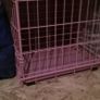 Pink dog crate Image 4