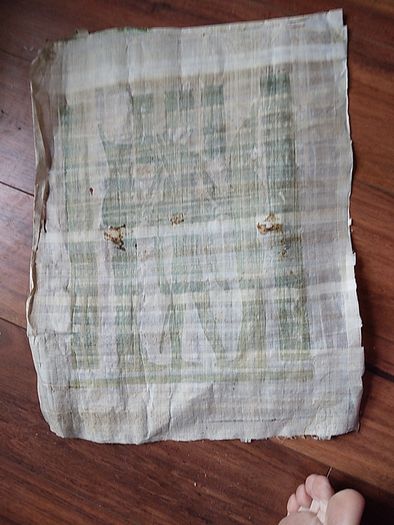 Papyrus from Egypt.