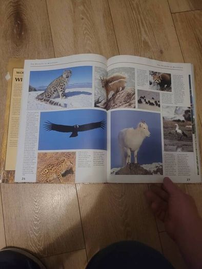book wildlife