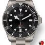 Tudor Pelagos 39 Image 2
