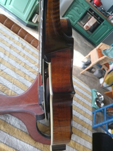 Coostar F5 Mandolin