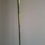 King Cobra Driver Image 4