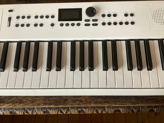 Roland GO:KEYS 5 mint