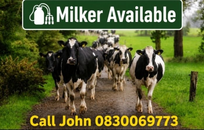 Milker Available