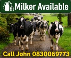 Milker Available