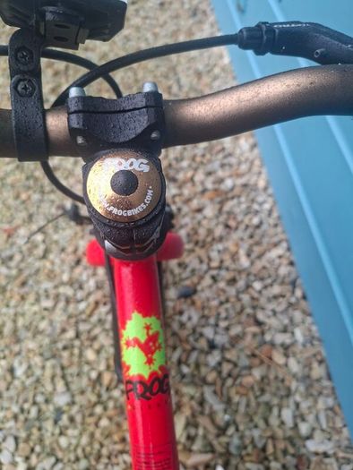 Kids 16 inch red Frog bike - Dublin 14