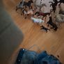 collection of horses from schieich Image 2