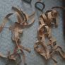 Equitation leathers etc Image 2
