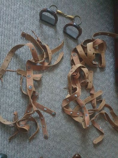Equitation leathers etc