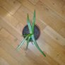 Ultimate Plant Lover's Bundle, Swiss Cheese and Aloe Vera Image 3