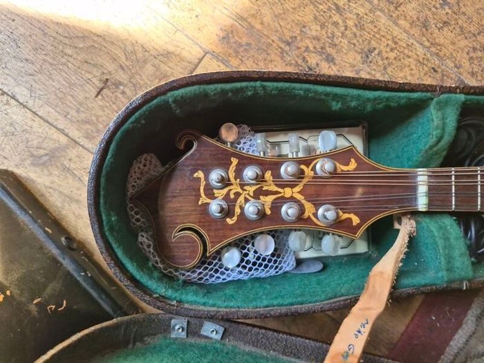 Joe Foley F style mandolin L/H